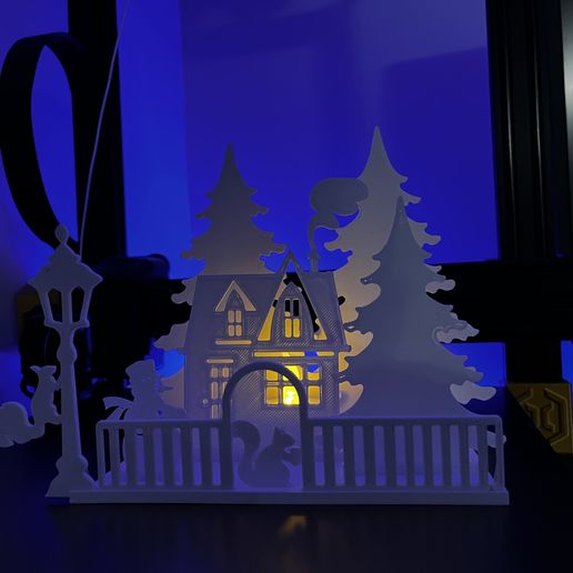 IMG_5476.jpg noel-maison