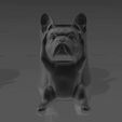 bull.jpg BULLDOG EGG CUP