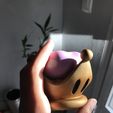 6A6CCFE8-08E5-4B75-9654-9E5C8DFE62A2.jpeg Bowsette
