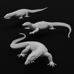 All-min.png STL-Datei Asiatischer Wasserwaran - Realistisches Eidechsenreptil - Varanus Salvator・Design für den 3D-Druck zum Herunterladen