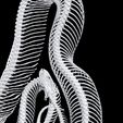 5.jpg SERPENTE ROSPO ANFIBIO RETTILE COBRA PITONE VIPERA ANIMALE ANATOMIA 3D MODELLO SCHELETRO OCEANO OSSA