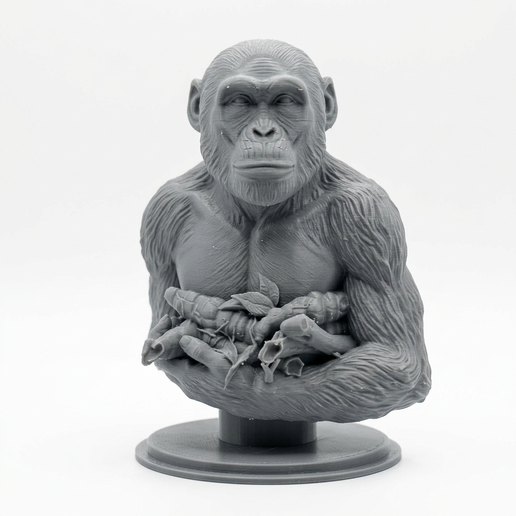 Australopithecus Afarensis Life Bust 3D Printable Model - 1:5 Scale
