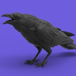 untitled.527.jpg STL file Crow・3D printer model to download