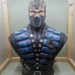 Sub-Zero | Mortal Kombat X | Bust