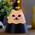 Loot_Boxes_Holoprops-05.jpg KAWAII DOG LOOT BOX - PRINT-IN-PLACE - NO SUPPORT