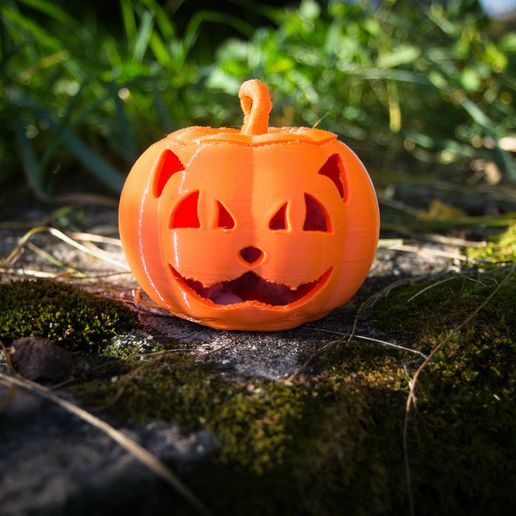 Cat Face jack o'lantern Pumpkin 3D model