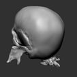 g5.jpg Giger Skull Concept