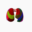 11.png Lower respiratory tract Lung 3D SEGMENTED in 19 PARTS