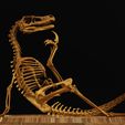 Velo5.jpg Velociraptor Skeleton Meme Diorama Philosoraptor