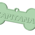 capitana.png Customized pet tags