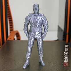 720X720-p-1-1-1.jpg Free STL file The Punisher Support Free Remix・3D printer model to download, robin3dverse