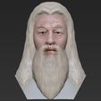29.jpg Dumbledore from Harry Potter bust for full color 3D printing