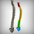 View2.jpg Archivo STL Columna vertebral・Diseño para descargar y imprimir en 3D