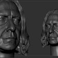 Screenshot_6.jpg Severus Snape Head