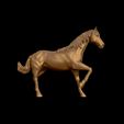 25.jpg American Quarter Horse model 3D print model