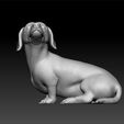 z222.jpg Dog - Dachshund Dog breed - cute dog -toy for kids