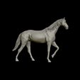 23.jpg Thoroughbred Horse model 3D print model
