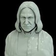 15.jpg Severus Snape 3D print model