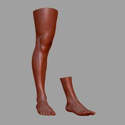 1.jpg Human leg and foot