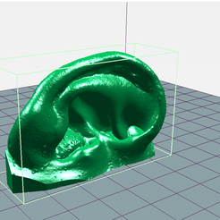 oreja5.png STL file Human Ear 5・3D print design to download