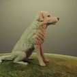 DRENDER4.jpg Cane
