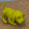 beagle_03.jpg STL file baby beagle・3D printable model to download