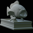 White-grouper-open-mouth-statue-44.png fish white grouper / Epinephelus aeneus open mouth statue detailed texture for 3d printing