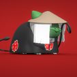 Balbasaur-Akatsuki-5.jpg Bulbasaur