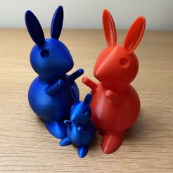 IMG_3426.jpeg Fichier STL gratuit Petit & mini lapin・Modèle imprimable en 3D à télécharger