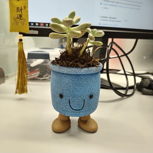 Succulent Pot (Cute Pot) STL File for Cults