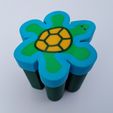 20200704_080509.jpg Turtle Tessellation with Box