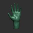 lowpoly1.jpg low-poly rigging hand model, low-poly rigging hand model