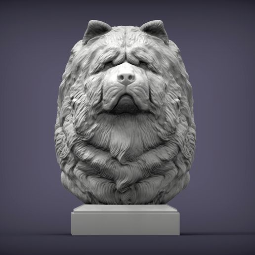 chow-chow1.jpg Modèle imprimé en 3D du buste de Chow Chow