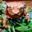 Bearded Dragon Articulated Toy, Print-In-Place Body, Snap-Fit Head, Cute Flexi