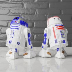 Front.jpg Deluxe Fully Articulated R2-D2 and R5-D4