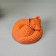 IMG_2831.jpg Sleeping Fox