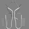 wfsub0003.jpg Human arterial system schematic 3D