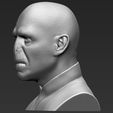 4.jpg Lord Voldemort bust 3D printing ready stl obj