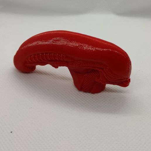 1644874925526.jpg Alien Head