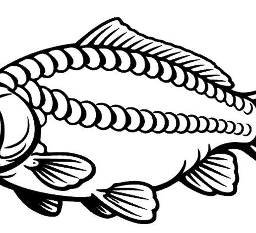 🎏 Carp wall art・ STL File for 3D printing and CNC machining - Laser ...