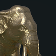 Elephant_Pose_Cy-0004.png Asian Elephant