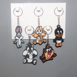 IMG_2979.jpg STL file 5 Keychains Looney Tunes 2 Baby・3D printing idea to download, DG22