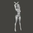 bandicam-2023-12-02-02-55-21-704.jpg Harley Quinn - Pole Dancer Mode - Collectible Edition