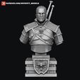 Witcher_render1.jpg Witcher Geralt Bust