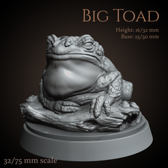 Preview1.png Big toad