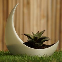 DSC00689.jpg STL file moon flower pot・3D printable design to download