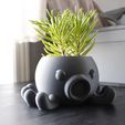 20240229162028__MG_0427.jpg Octopus Planter Pot • Cute Home Decor