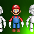 sa0010.png FLEXI PRINT-IN-PLACE - SUPER MARIO BROS.