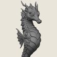 Seahorse-06.jpg Seahorse