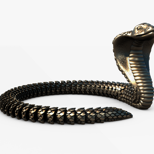 Image2.png Cobra